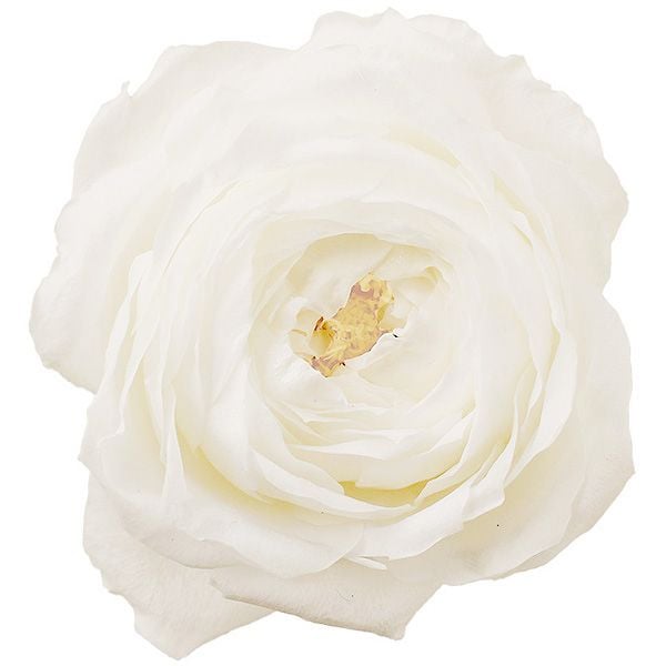 �������� �������������(6) ��