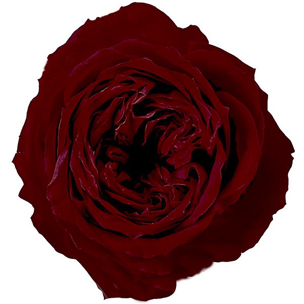 �������� �������������(6) �磻���å�