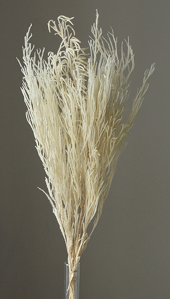 ��������. ���󥰥��������� ���եۥ磻��