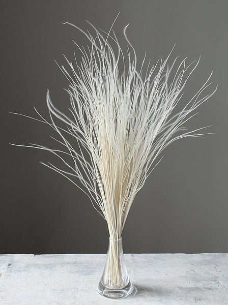 �������� �ե��������饹 ��