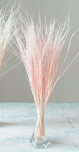 ��������. �ե��������饹 �ԥ�