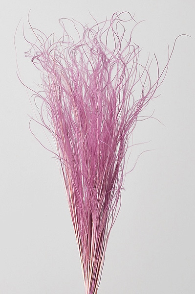 ��������. �ե��������饹 �����ץ�ԥ�