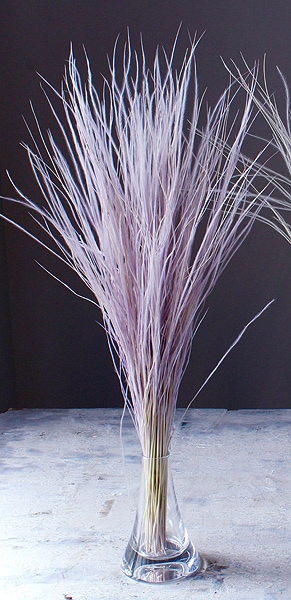 �������� �ե��������饹 ���󥸥���ѡ��ץ�