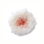  صƎߥե(9) ۥ磻ȥԥ