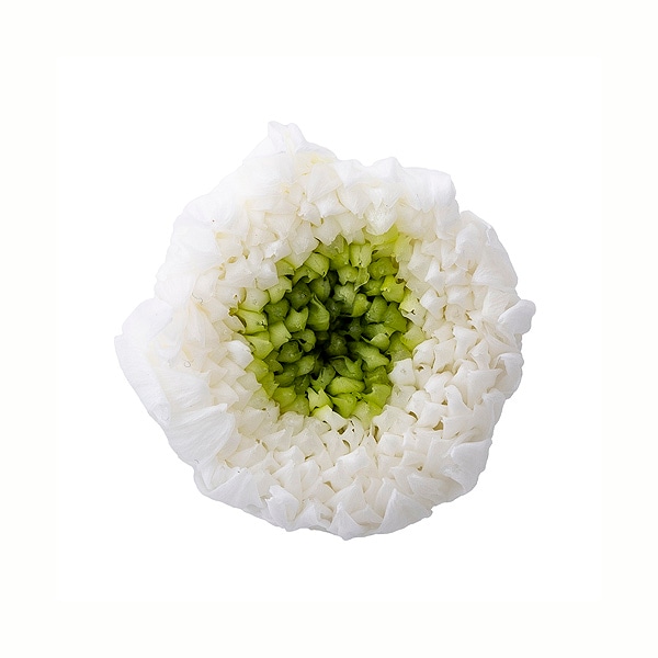 �������� �صƎ������ߥ�ե�����(9) �ۥ磻�ȥ��꡼��