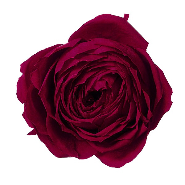 ��������. ������������(6) �磻���å�