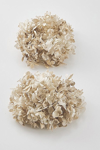 �������� �ԥ�ߥåɥ����������إå�(�ڥ���Ȳù�) �ۥ磻�ȥ������