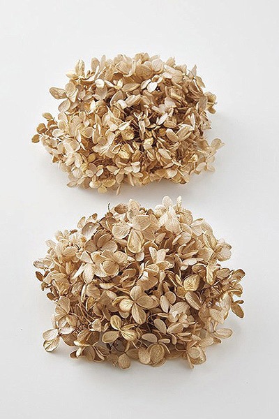 �������� �ԥ�ߥåɥ����������إå�(�ڥ���Ȳù�) �����ѥ󥴡����