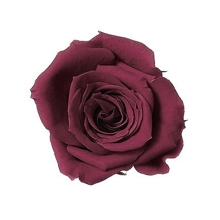 �������� ��������������(9) �����ͥå�