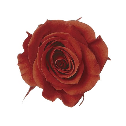 �������� ��������������(9) ��������å�