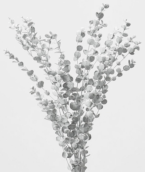 �������� ���ˡ��桼���� �ޥåȥۥ磻��