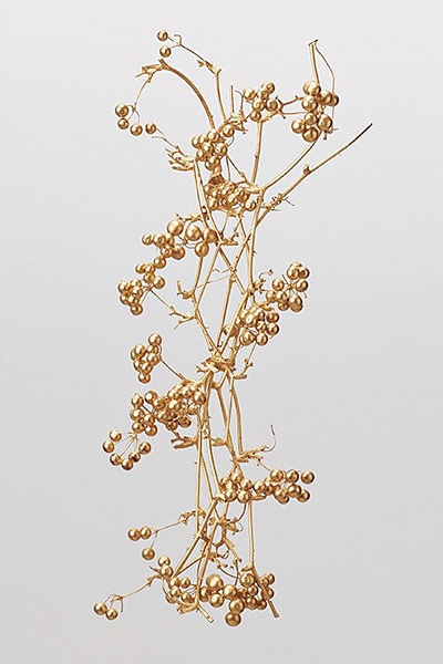 �������� ���󥭥饤�Υĥ�(���դ��� �������