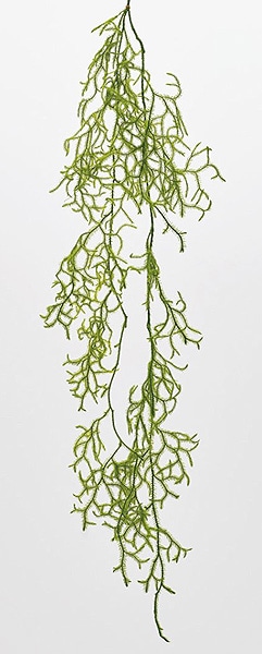 �������� �ҥ����Υ����� ���꡼��