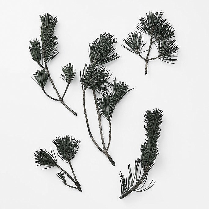 �������� ���վ����������������� ���꡼��