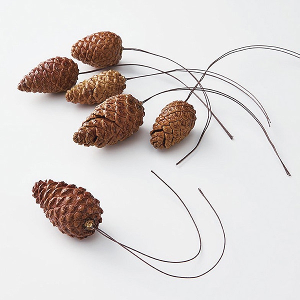 �������� ���������Ĥܤߎ����ƥ��դ� N