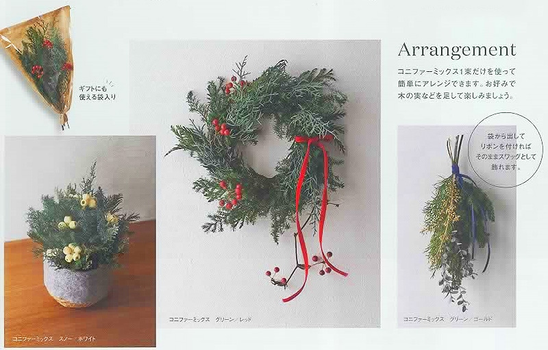 大地農園. コニファーミックス グリーン/ゴールド | プリザーブド