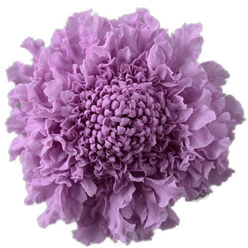 �������� �����ӥ���(5) ���������ȥ饤��å�