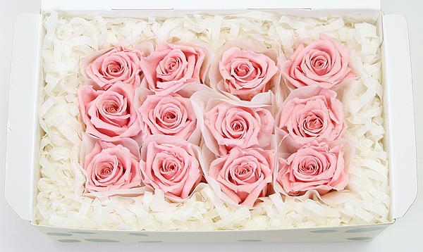 ��Outlet��Fe �٥��ӡ����������٥��ӡ��ԥ� ��