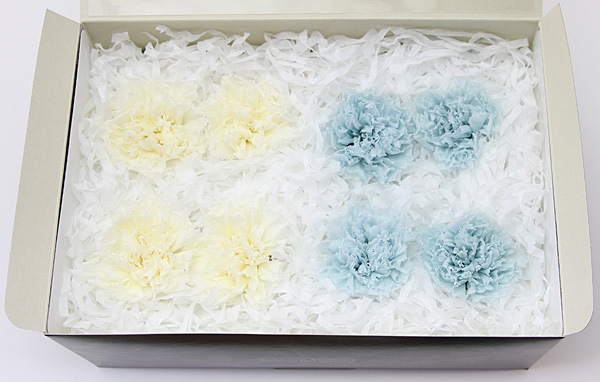 ��Outlet��ON �����͡�����󎥥ߥå���C