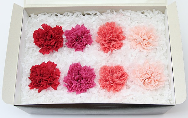 ��Outlet��ON �����͡�����󎥥ߥå���D