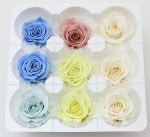 ��Outlet��ON �����������ߎ��ߥå���A