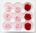 ��Outlet��ON �����������ߎ��ߥå���B