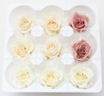 ��Outlet��ON �����������ߎ��ߥå���C