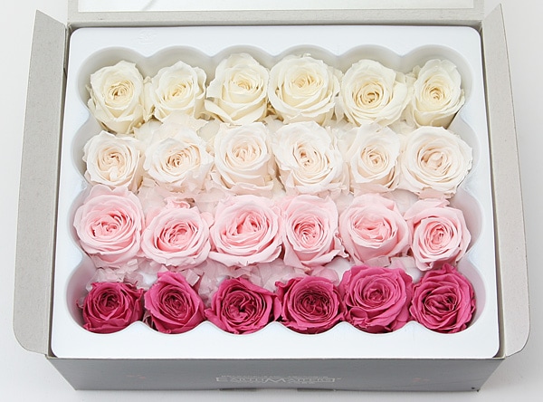 ��Outlet��ON �ӥӥ��󎥥ߥå���C