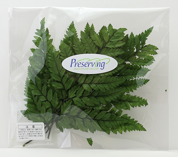 ��Outlet��ON �쥶���ե��󎥥ץꥶ���֥� ���꡼��