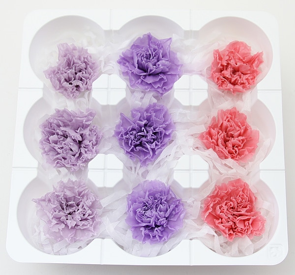 ��Outlet��ON �ߥ˥����͡�����󎥥ߥå���C