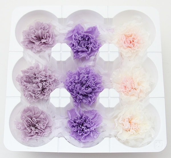 ��Outlet��ON �ߥ˥����͡�����󎥥ߥå���(�ߥ�ե�����3������)D