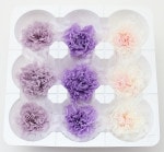 ��Outlet��ON �ߥ˥����͡�����󎥥ߥå���(�ߥ�ե�����3������)D