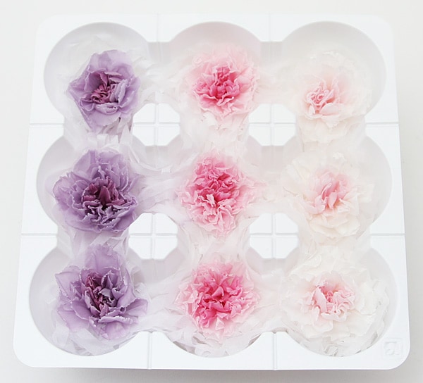 ��Outlet��ON �ߥ˥����͡�����󎥥ߥ�ե����接�ߥå���E