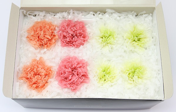 ��Outlet��ON �����͡�����󎥥ߥå���(�ߥ�ե�����4������)I