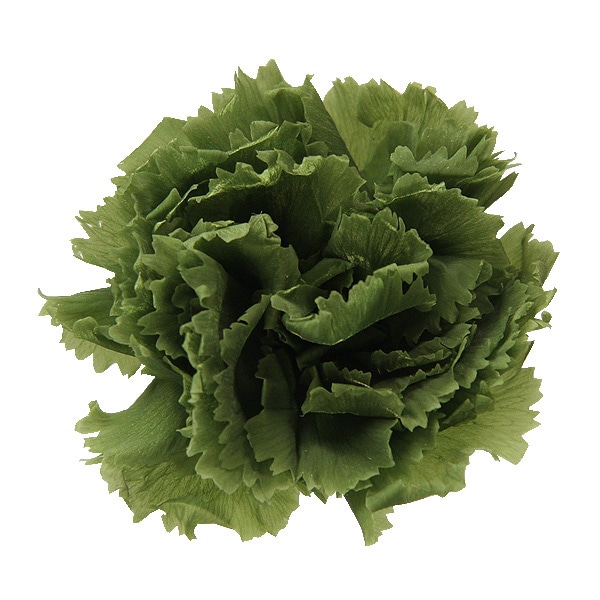 OutletFlorever ߥ˥͡(12) ꡼ƥ