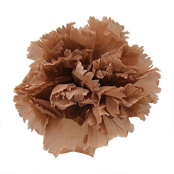 ��Outlet��Florever �ߥ˥����͡������(12) �饤�ȥ��ե�