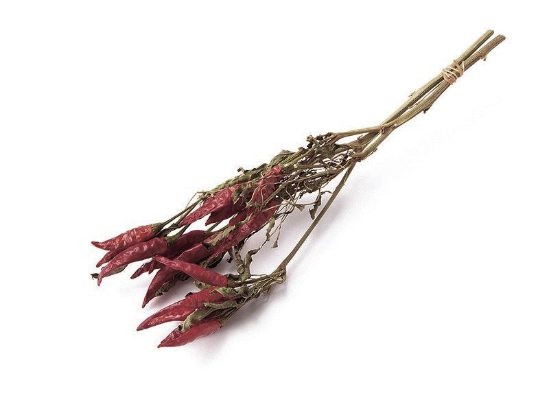 ��Outlet����������. �����«���ȥ����饷���դ� N