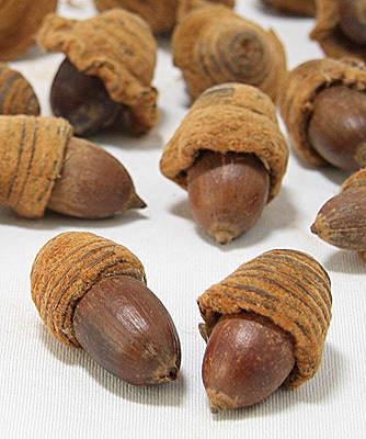 ��Outlet����������. �ɥ󥰥����� ��