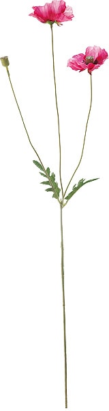 ��Outlet��[PO Art��F] ���ꥹ�ԡ��ݥԡ� �ӥ塼�ƥ���