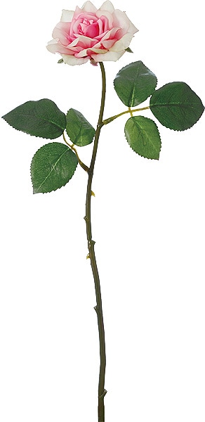 ��Outlet��[PO Art��F] ��������������� �ԥ�