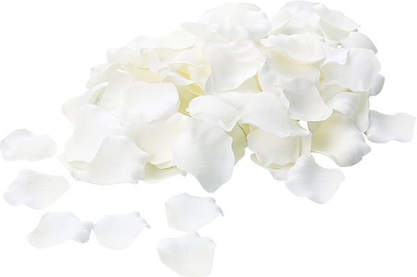 ��Outlet��[PO Art��F] �������ڥ��� ���꡼��