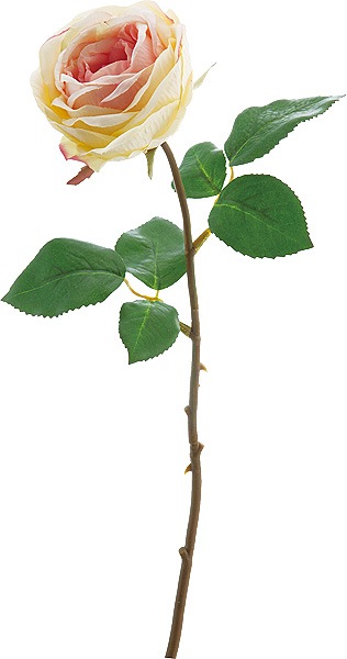 ��Outlet��[PO Art��F] �������ߥ��� ���꡼��ԥ�