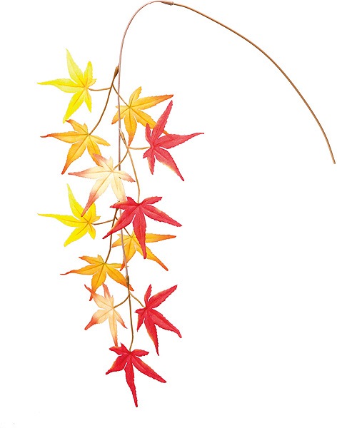 ��Outlet��[PO Art��G] �������ߥ� ������������󥸡�(6������)