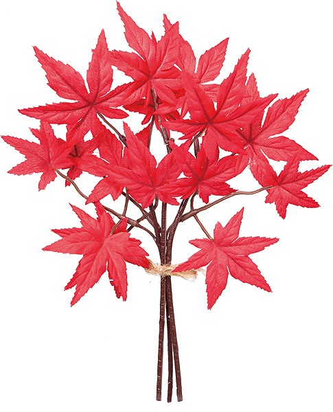 Outlet[PO ArtG] ߥХ åɡ(4«)