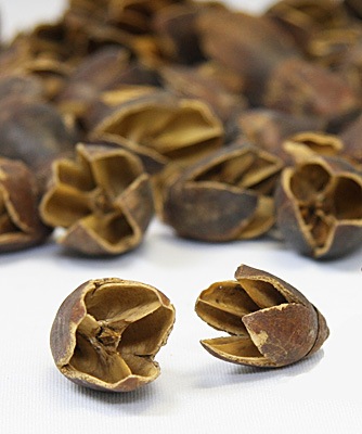 ��Outlet���������� �Х��� �� ��