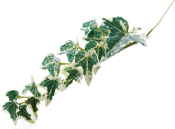 ��Outlet��[PO Art��P] �����ӡ��ԥå�(3P) �ġ��ȥ󥰥꡼��