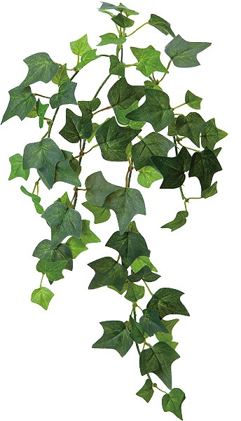 ��Outlet��[PO Art��G] �����ӡ�X5