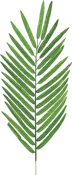 ��Outlet��[PO Art��G] �䥷�Υ�