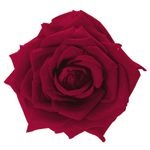 �������� �񻺥����������Х�����(3) ���������å�