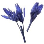 �������� ���ɥ�(4) ��ꤤ��